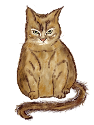 Meow_lores
